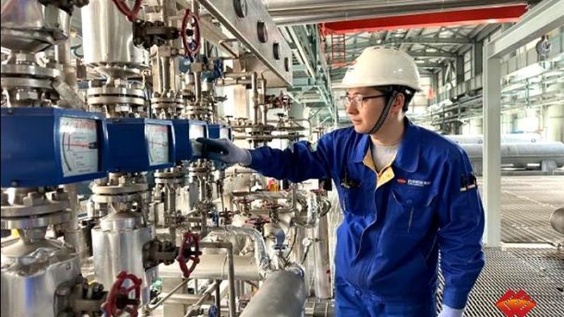 工业热风循环干燥箱：价格背后的技术考量